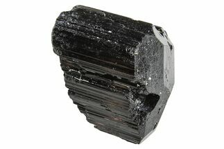 Terminated Black Tourmaline (Schorl) Crystal - Madagascar #295020