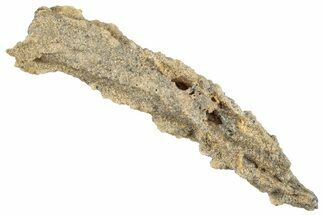 Fulgurite - Petrified Lightning #295491