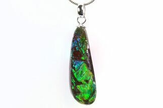 Brilliant Ammolite Pendant (Necklace) - Alberta, Canada #296075