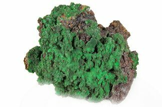 Forest Green Conichalcite on Limonite - Namibia #295907