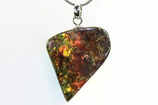 Brilliant Ammolite Pendant (Necklace) - Alberta, Canada #296089