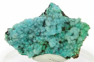 Bright Blue Chrysocolla on Limonite - Namibia #295924