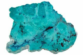 Vibrant Chrysocolla and Shattuckite Slab - Mexico #296468