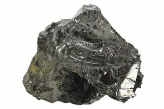 Lustrous, High Grade Shungite - Colombia #297133