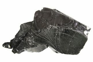 Lustrous, High Grade Shungite - Colombia #297137