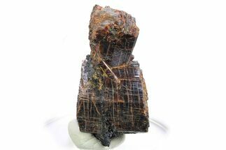 Red-Brown Rutile Crystals - Québec, Canada #297121