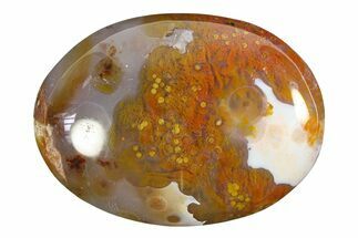 Polished Ocean Jasper Stone - New Deposit #297254