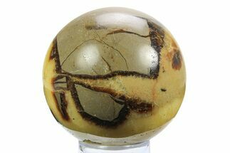 Polished Septarian Sphere - Madagascar #289952