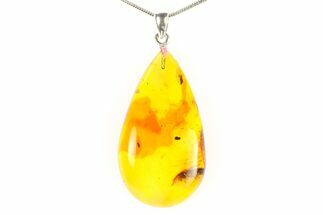 Polished Baltic Amber Pendant (Necklace) - Contains Fly! #297660