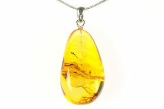 Polished Baltic Amber Pendant (Necklace) - Contains Fly! #297664