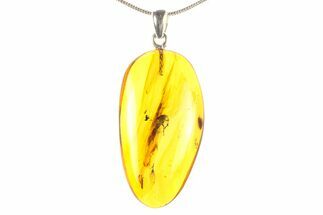 Polished Baltic Amber Pendant (Necklace) - Contains Insect! #297689