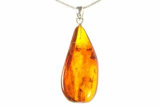 Polished Baltic Amber Pendant (Necklace) - Contains Spider & Mite #297704