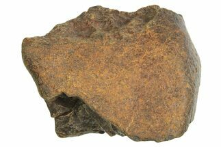 Chondrite Meteorite ( g) - Western Sahara Desert #296241