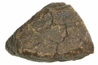 Chondrite Meteorite ( g) - Western Sahara Desert #296245