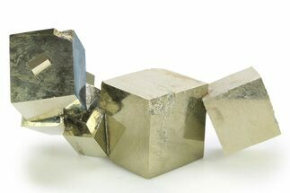 Shiny, Natural Pyrite Cube Cluster - Navajun, Spain #298981