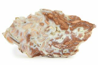 Polished Wyoming Youngite Agate/Jasper Slab - Fluorescent #299266
