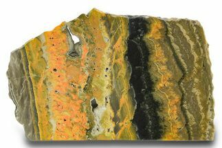 Polished Bumblebee Jasper Slab - Indonesia #299312