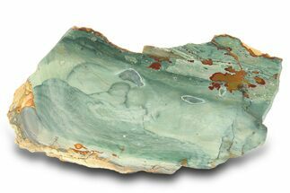 Gary Green Jasper (Larsonite) Bog Wood Slab - Oregon #299314