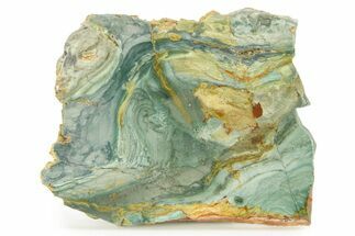 Gary Green Jasper (Larsonite) Bog Wood Slab - Oregon #299335