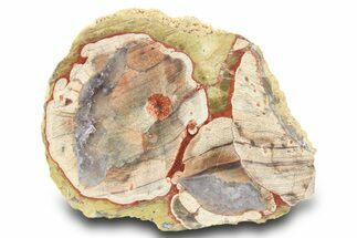 Polished Mushroom Jasper Section - Arizona #299351