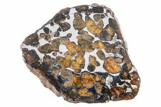 Pallasites For Sale