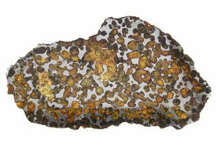 Springwater Pallasites For Sale