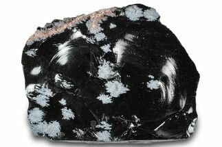 Snowflake Obsidian Section - Utah #300251