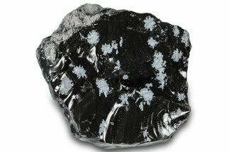 Snowflake Obsidian Section - Utah #300252