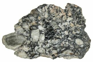 Polished Lunar Meteorite ( g) Slice - Ajdabiya #301091