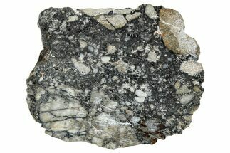 Polished Lunar Meteorite ( g) Slice - Ajdabiya #301094