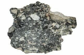Polished Lunar Meteorite ( g) Slice - Ajdabiya #301122