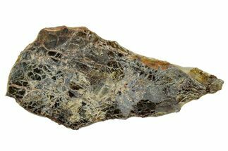 Diogenite Meteorite ( g) Slice - From Vesta Micro-Planet #301216