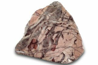 Polished Kona Dolomite Section - Michigan #301226