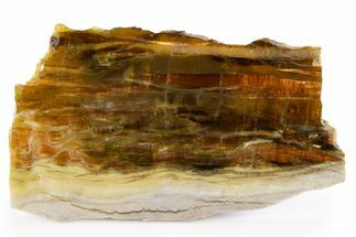 Chatoyant, Polished Pietersite Slab - Arizona #301704