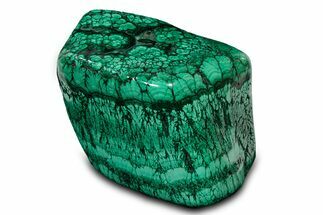 Huge, Flowery Polished Malachite Specimen ( lbs) - Congo #301583