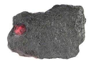 Red Embers Garnet in Graphite - Massachusetts #301097