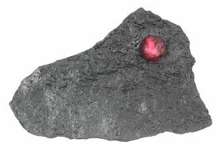 Red Embers Garnet in Graphite - Massachusetts #301132