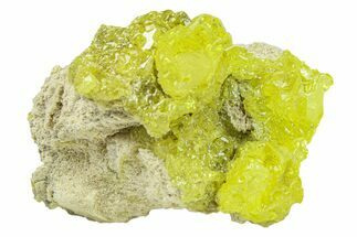 Bright-Yellow Sulfur Crystals - Bolivia #301858