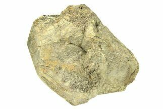 Pyrite Crystal - Spruce Ridge, Washington #301247