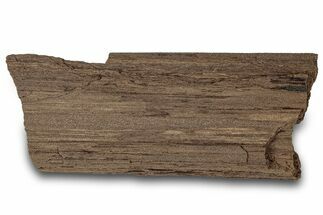 Permineralized Wood Covered In Sparkling Quartz - Germany #302045