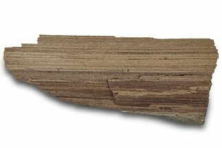 Permineralized Wood Covered In Sparkling Quartz - Germany #302051