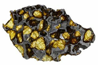 Imilac Pallasites For Sale