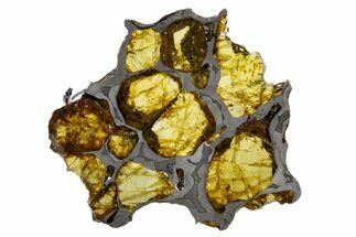 Polished Imilac Pallasite Meteorite (g) Slice #302098