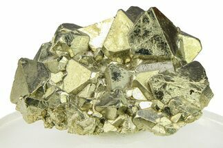 Octahedral Pyrite Crystal Cluster - Peru #301952