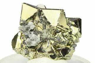 Octahedral Pyrite Crystal Cluster - Peru #301966