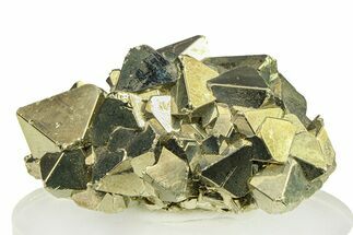 Octahedral Pyrite Crystal Cluster - Peru #301972