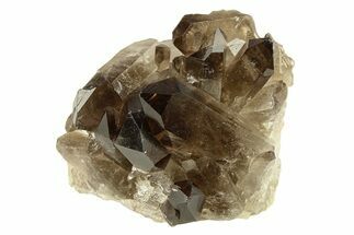 Dark Smoky Quartz Crystal Cluster - Brazil #302125