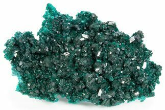 Beautiful Dioptase Crystal Cluster on Plancheite - Sanda, Congo #302228