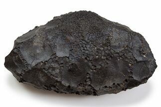 Dragon Scale Stone (Iron, Manganese, Siderite Nodule) #302272