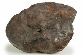 Chondrite Meteorite ( kg) - Unclassified NWA #302277